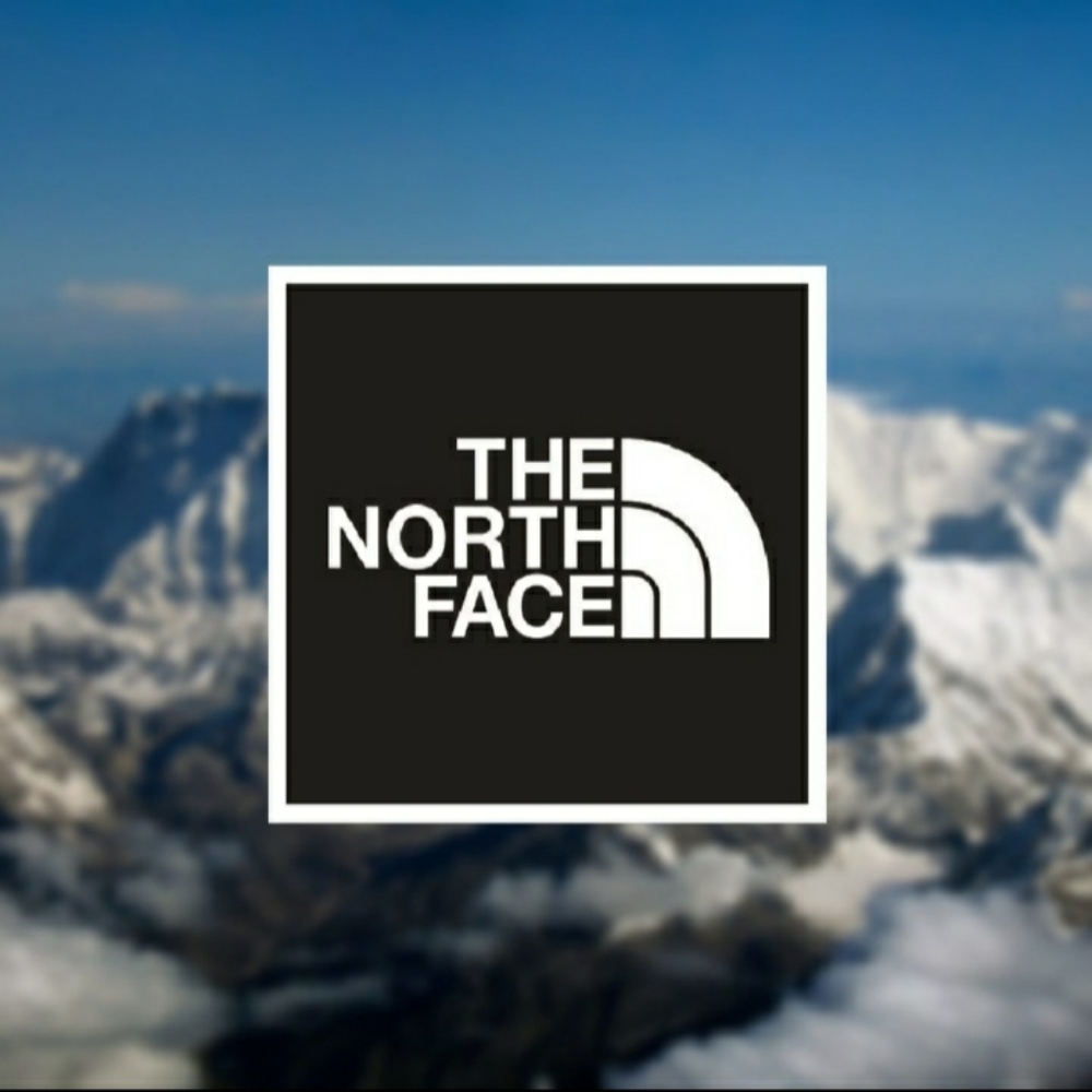 ● The North Face | Horizon Eva Cargo Shorts - Picture 15 of 15